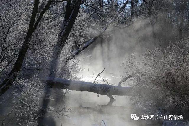 红色盒子小人